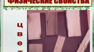 Презентация на тему Физико механические свойства древесины
