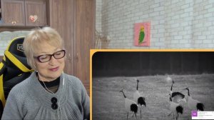 ЭТУ ПЕСНЮ ДИМАШ СПЕЛ В 14 ЛЕТ! | Димаш поет "Крик Журавля" в 14 лет | Димаш - Крик Журавля Реакция
