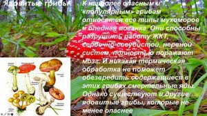 Видеопрезентация для детей на тему грибы.