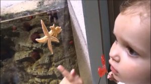 Катя в Стамбуле ОБЗОР путешествия Miss Katy в Турцию | КФ Мисс Кэти и Мистер Макс Miss Katy Mr Max