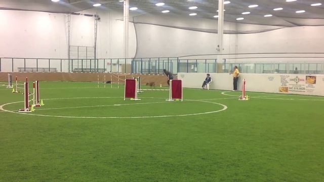 Irish Terrier Agility 2012 03 Four Diamond Irish Terriers Libertyville, IL смотреть онлайн