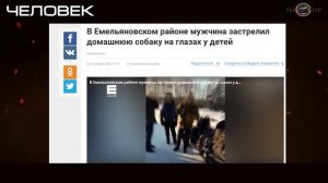 Человек самое разумное и опасное животное на планете