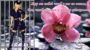 ?Прикольное поздравление с Днем Полиции?С Днем Милиции Красивое Поздравление?