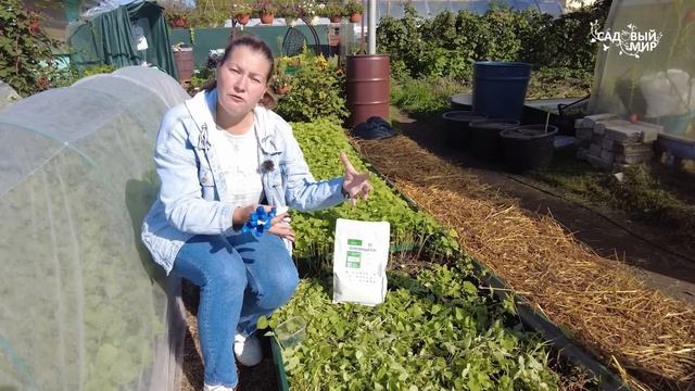 Когда убирать морковь и как подготовить грядки  для следующего года