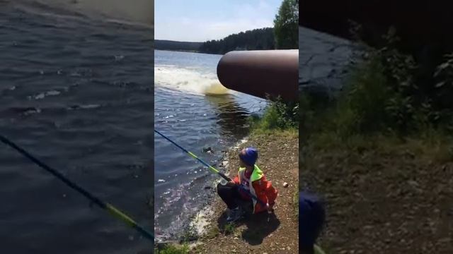 Рыбалка на Волчихинском водохранилище