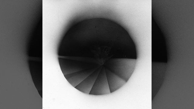 La forêt des ombres Part.3 смотреть онлайн