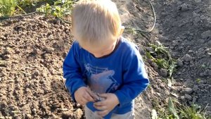 Знакомство с животными. Червяк.