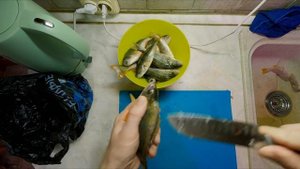 Рыбалка в низовье р. Дон / Рецепт жареного окуня в манке