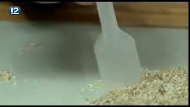 В Интернате обнаружили просроченную крупу смотреть онлайн