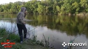 Рыбалка с ночёвкой на Северском Донце.