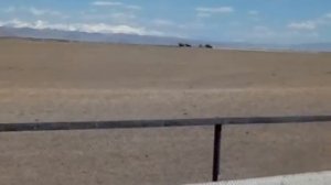 Скачки ,Кош -Агач 2018 12 км,