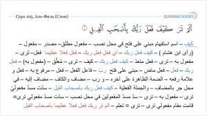 Грамматический разбор суры аль-Филь (Слон) - часть 01