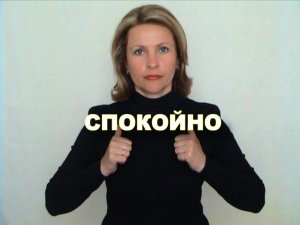 ЖЕСТОВЫЙ ЯЗЫК. СЛОВАРЬ. Спокойно