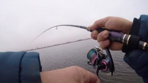 Как поймать ЖЕРЕХА зимой. Зимний ЖЕРЕХ настоящий боец !!Ares Lester Boron 800ML