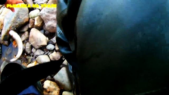 ЛОВЛЯ ХАРИУСА И ТАЙМЕНЯ НА ГОРНОЙ РЕКЕ Осень/съемка под водой. Рыбалка на Урале/FISHING ON the Ural