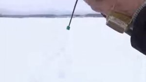 Зимняя рыбалка Подлещик на чертика Технология зимнего клева с Евгением Середой