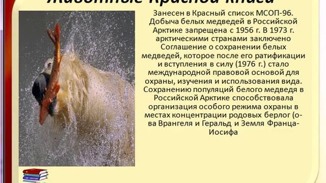 Красная книга России - животные млекопитающие