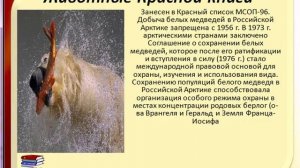 Красная книга России - животные млекопитающие