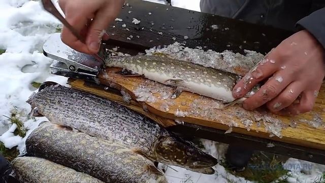 Как чистить РЫБУ... вилкой