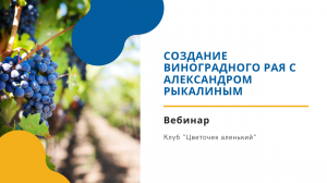 Клуб "Цветочек аленький": Создание виноградного Рая с Александром Рыкалиным