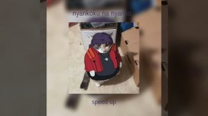 nyankoku na nyanko (Evangelion collab)speed up