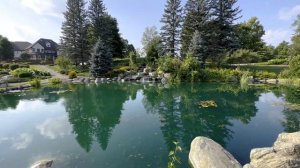 GIANT Pond Built For Their Dogs