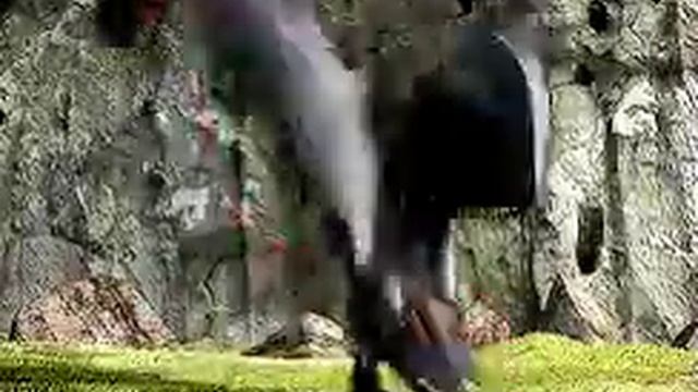 Беззубик смотреть онлайн