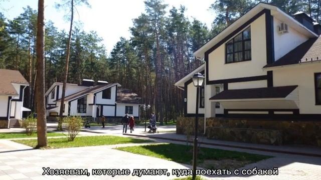 Отдых с собакой в Подмосковье: куда поехать на выходные смотреть онлайн