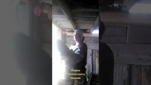 ПЧЕЛОВОДСТВО 2022! ОТКРЫВАЕМ СЕЗОН В МОРДОВИИ!!