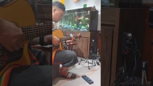 MOOER SD50A loop & jam demo sound 2