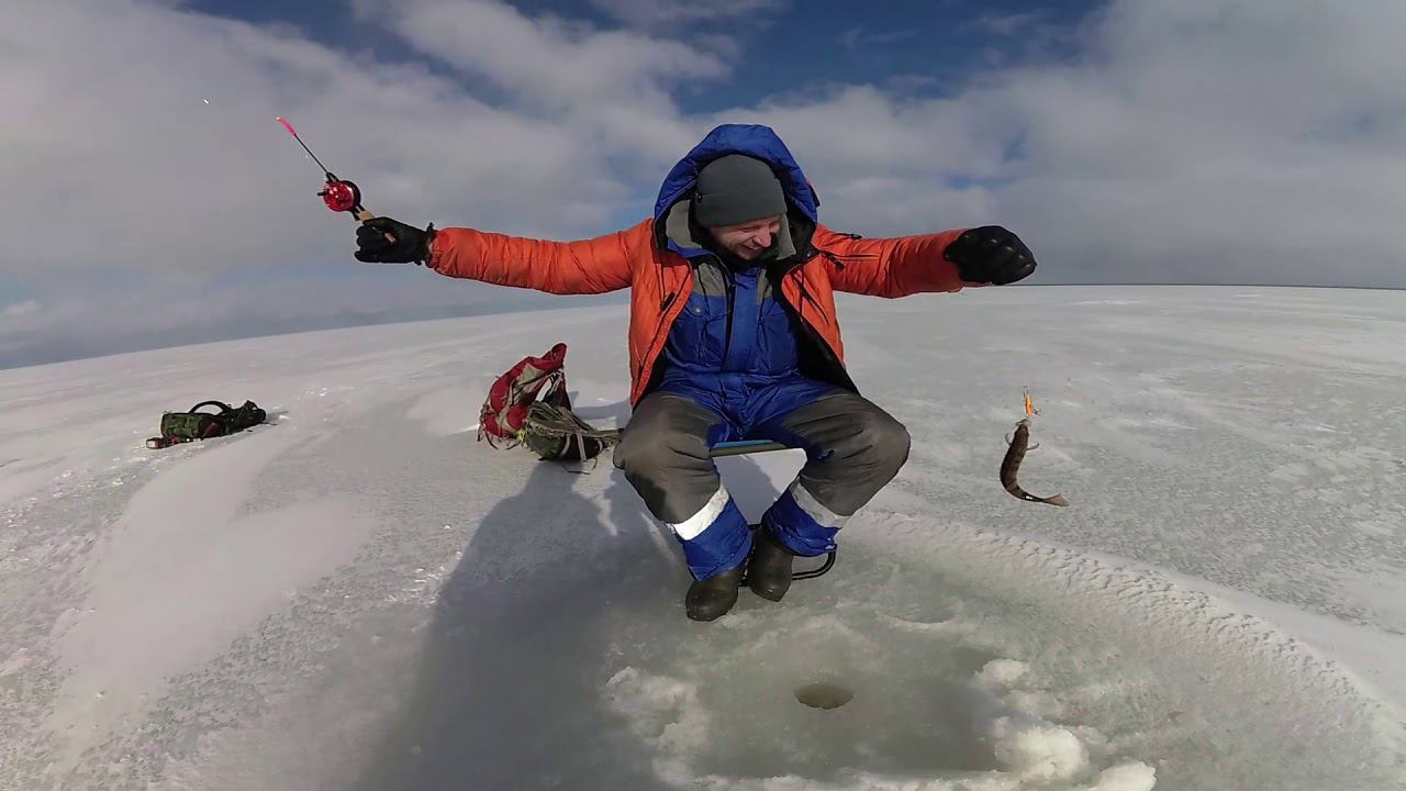 Ладога. Зеленцы. Лаврово. Кобона. Поиск окуня. Попался рипус!!! смотреть онлайн