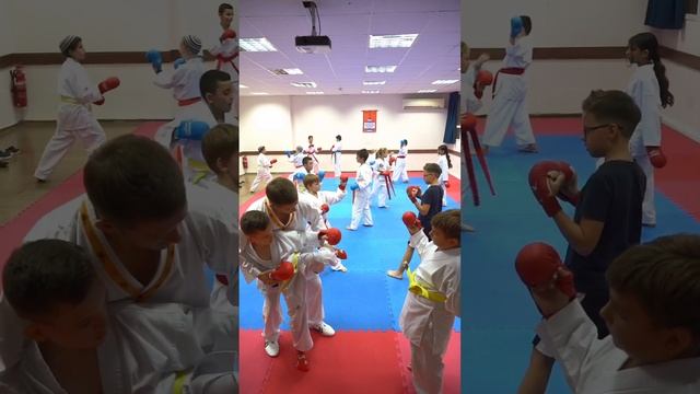 Karate Club SEIMEI,Israel,Haifa.Подготовка чемпионов.Тренер: Артем Гурский.#shortvideo #shortkarate