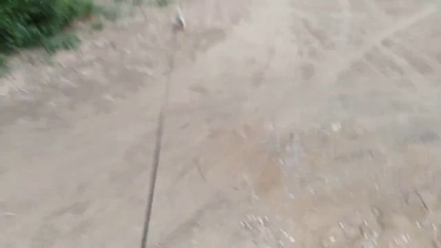 Стрижка/гуляем😋/каждый день ездим на машине??? смотреть онлайн