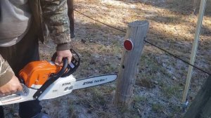 Как очистить свой участок от деревьев. STIHL USA. Первое испытание