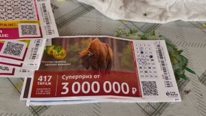 Мои результаты тиражных лотерей:русское лото жилищная лотерея,золотая подкова,бинго 75,6 из 36
