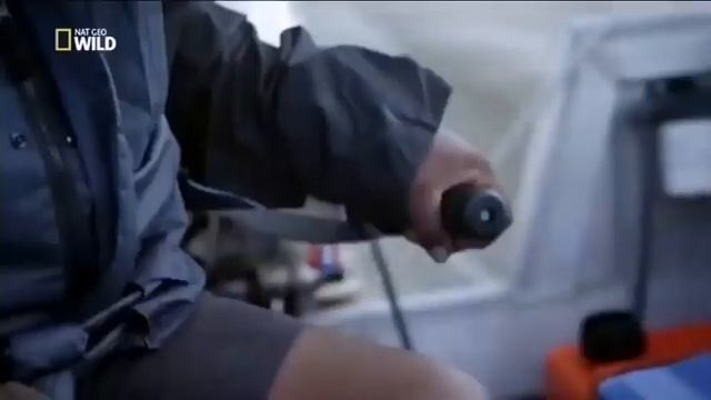 Тихий Океан.Самые загадочные существа. смотреть онлайн