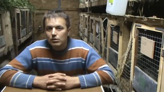 Кормление кроликов. ЗЕЛЕНЫЙ КОРМ