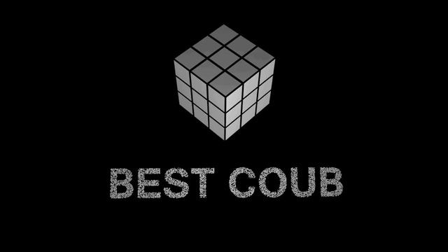 «КИСА» Best Coub - Октябрь 2020