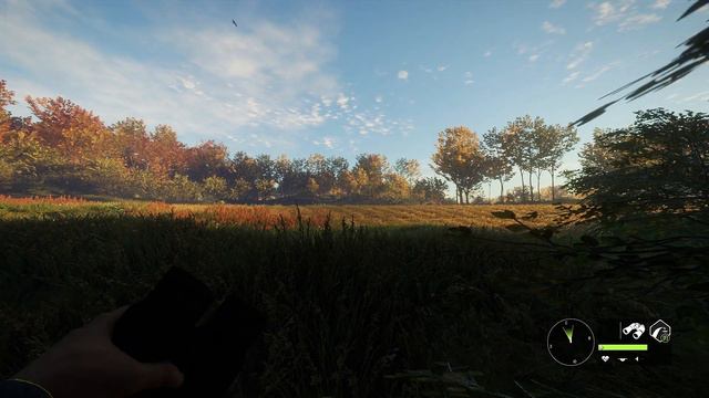 ОХОТА В ЕВРОПЕ. УТРЕННЯЯ И ВЕЧЕРНЯЯ ОХОТА. TheHunter Call of the Wild # 43 смотреть онлайн