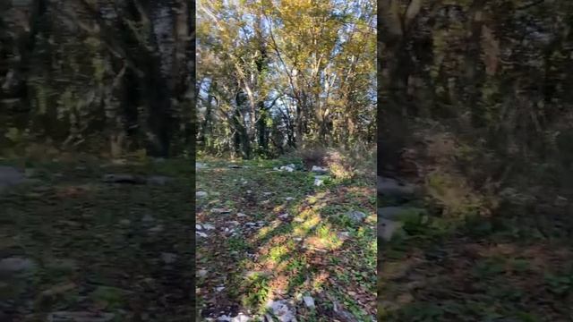 2022-10-20 смотреть онлайн