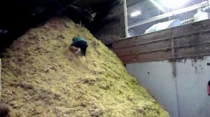 Bezoek vlasbedrijf (een berg vlas beklimmen)