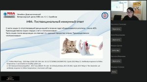 Герпес вирус кошек