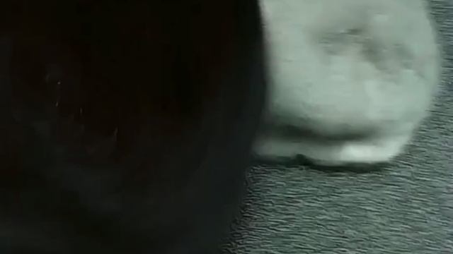 Теплый берет из натурального меха, по хорошей скидке! смотреть онлайн