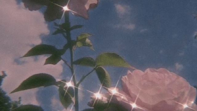 ?Как скачать взлом???✨|Тока лайф/toca life|✨Как сделать красивую аватарку???? смотреть онлайн