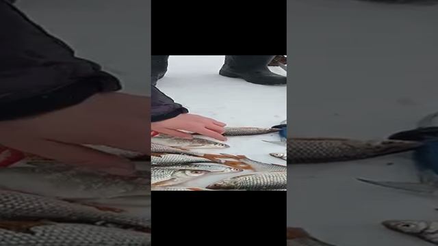 Рыбнадзор на Матырском водохранилище в Липецке