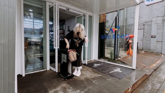 Путешествие в Сеул. Поездка в Южную Корею. Наш маршрут, что посмотреть за 4 дня в Сеуле. Seoul Kore смотреть онлайн