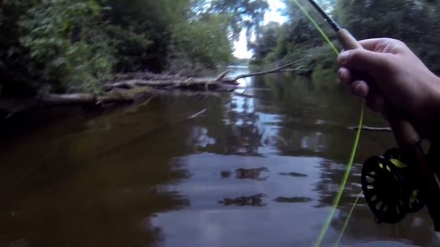 Жёлтый жук и домашний голавлик ... нахлыстом. смотреть онлайн