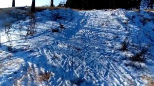 Часть 2 Тестирую свои новые лыжи Rossignol Delta Course Skating IFP (06.12.2019)