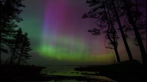 Болота Оршинский мох и северное сияние 23 апреля 2023 года.