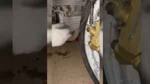 suzuki gsxr 1000 k3 k4 Radiator cooling fan installation